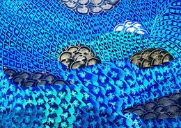 Painting, Pescando todo lo emergente, Esther Ramos